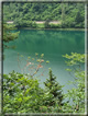 foto Lago di Lases